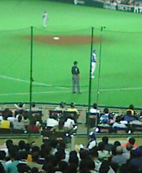 フィールドシート