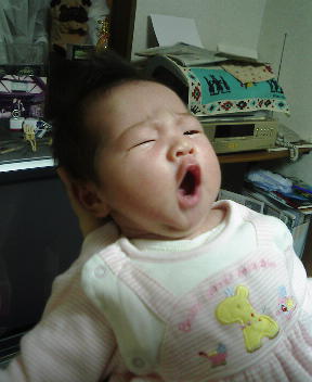 みうちゃん　何か言いたそう・・・