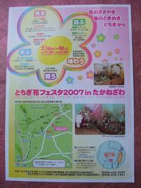 花フェスタ　裏