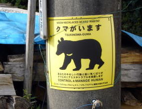 クマがいます