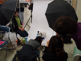 うさフェスタ  (4).jpg