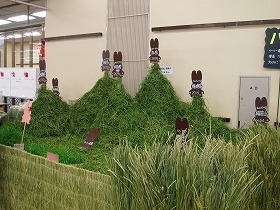 うさフェスタ  (13).jpg