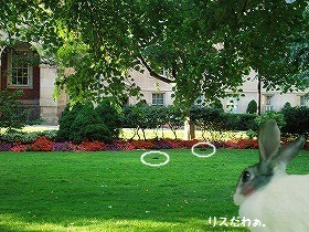 Canada 2007.8,11-19 (14).jpg