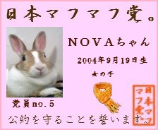 党員証マフＮＯＶＡちゃん.jpg