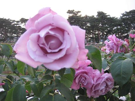 シャルルドゥゴール