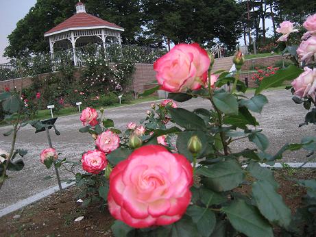 ジュビレデュプリンスドゥモナコ