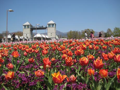 フラワーパーク