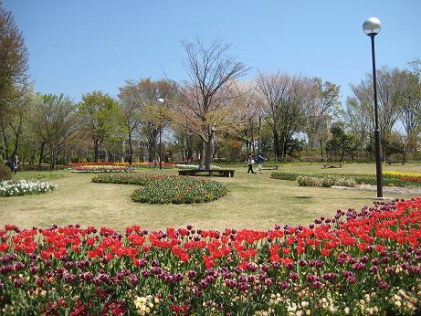 フラワーパーク