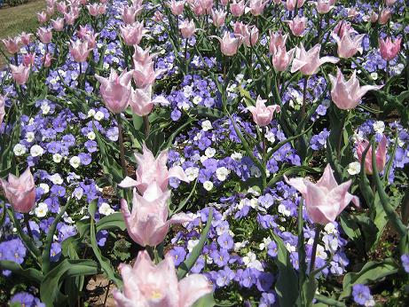 フラワーパーク