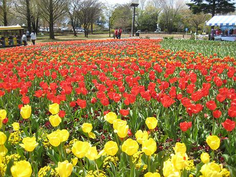 フラワーパーク