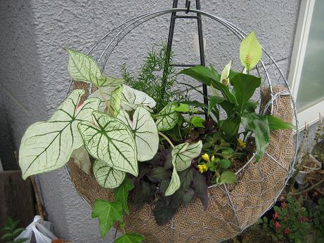 クレセントのハンギング