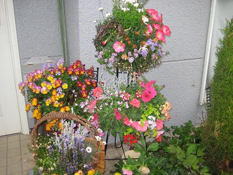 お花がいっぱ～い