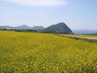 魚津ヶ崎.jpg