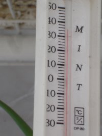 070414温室内温度計