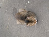 070924おじいちゃん