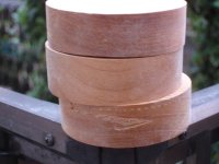 070415ケヤキ輪切り