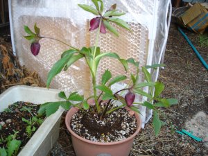 060218１０００枚目