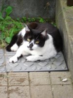 060821今日は玄関脇