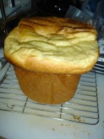 070120きのこじゃないよ