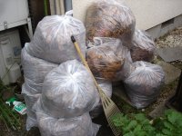 061122落ち葉確保