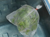 061024天然入浴剤