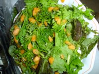 061028ミニにんじん