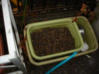 060226ほうれん草用土