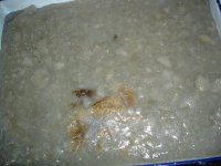 061028こんにゃくこげあり