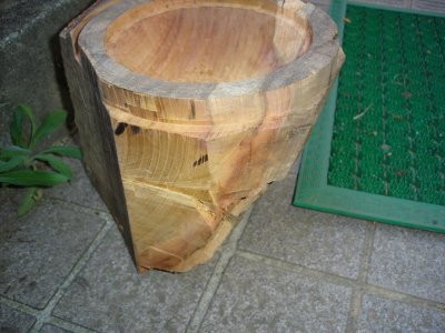 061015さらに半割するか？