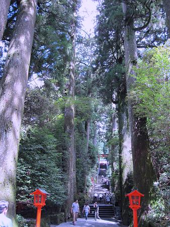 箱根神社正参道の石段