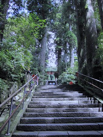 箱根神社正参道の石段2