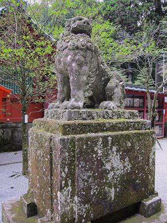 阿狛犬