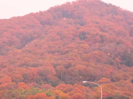2010.11.27.栃木県の紅葉