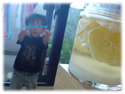 レモンサワー（甥）