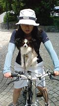 クッキーと自転車