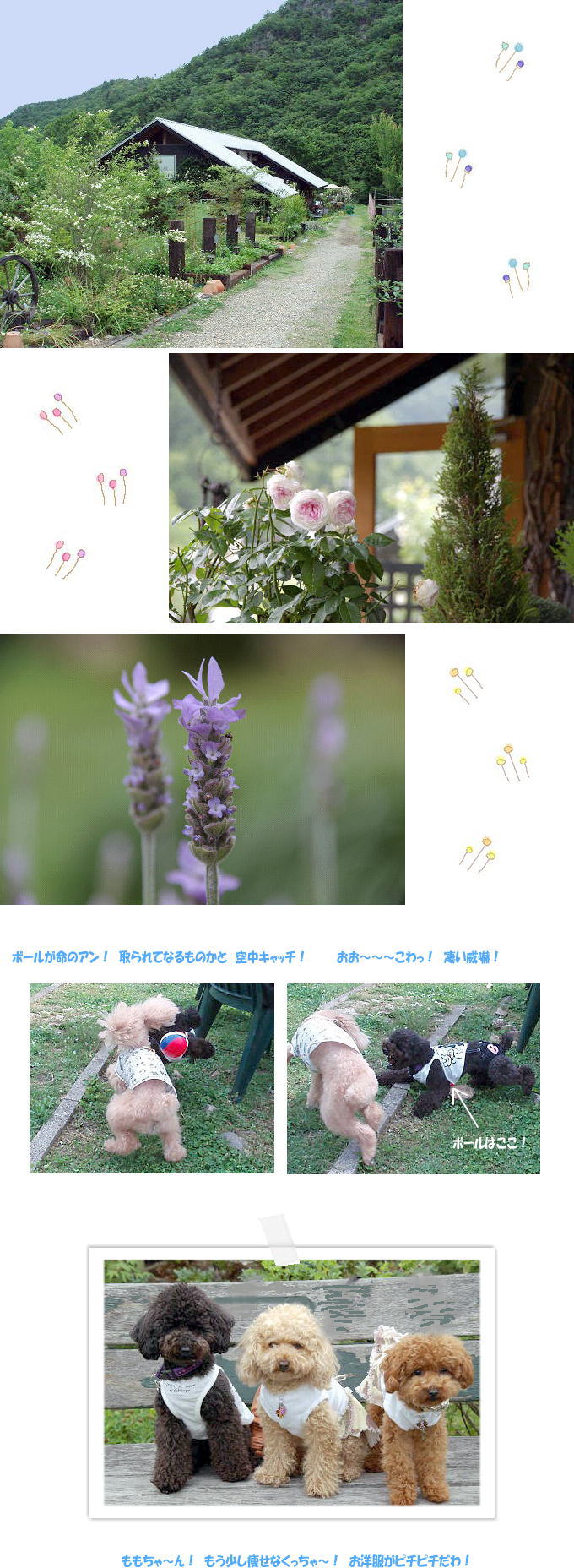 J039;sヒルガーデン１.jpg