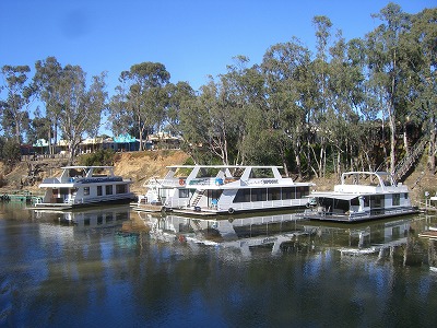 CIMG5684.jpg