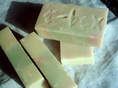 ちょっぴり春気分