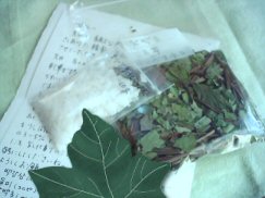 ゆり－eyoさんからの韓草と乳化材