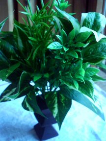 イミテーション1