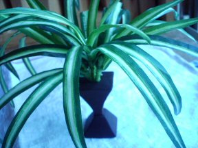 イミテーション2