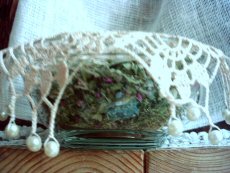 Burnetさんから頂いたハーブ.