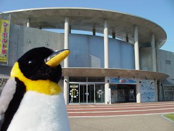 ペンギンお持ち帰り♪