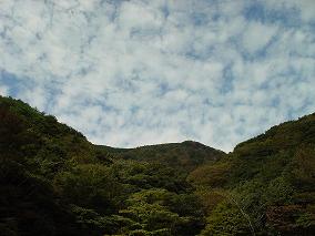 秋の紅葉・・・ちょっと早いA^-^；