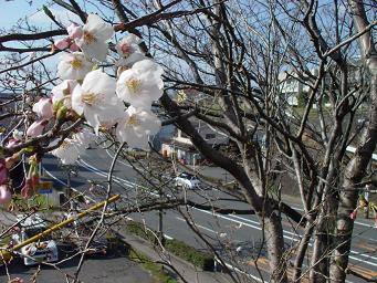 ちびオニクイズ（＾＾）ど～こだ？