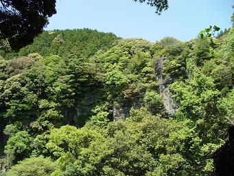 森へおでかけ♪