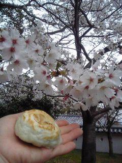 花より団子？・・・お焼きをパクパク