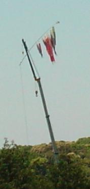 クレーンにこいのぼり（＠＠）