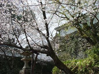 桜のお城