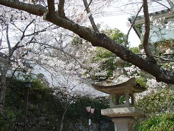 桜のお城２